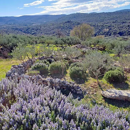 Mediterraneo, Private Pool, Secluded *