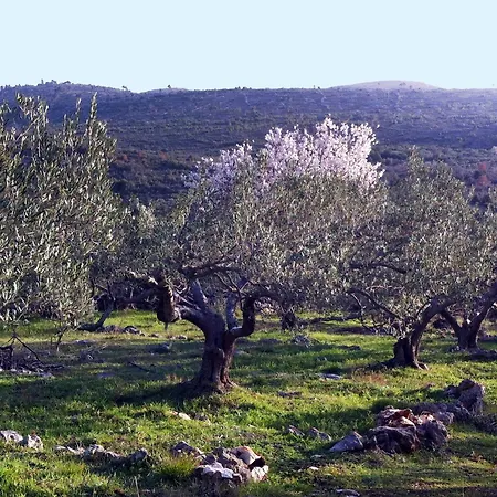 Mediterraneo, Private Pool, Secluded *